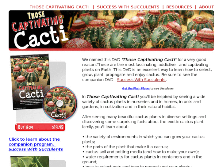 www.captivatingcacti.com