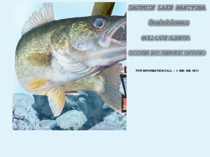 www.originalicefishingcontest.com
