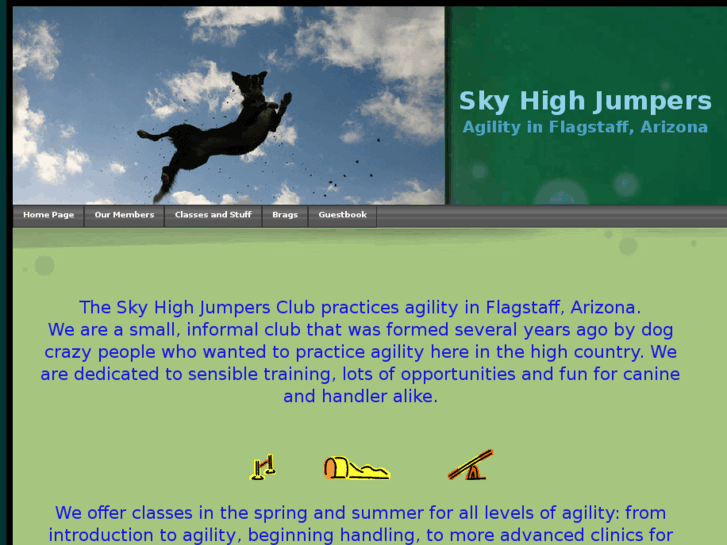 www.skyhighjumpers.com