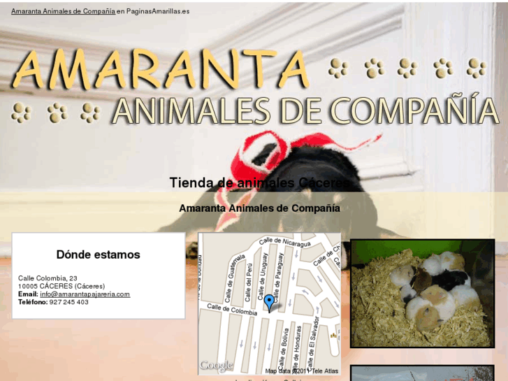 www.amarantapajareria.com