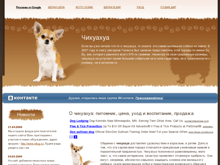 www.dog-chihua.ru