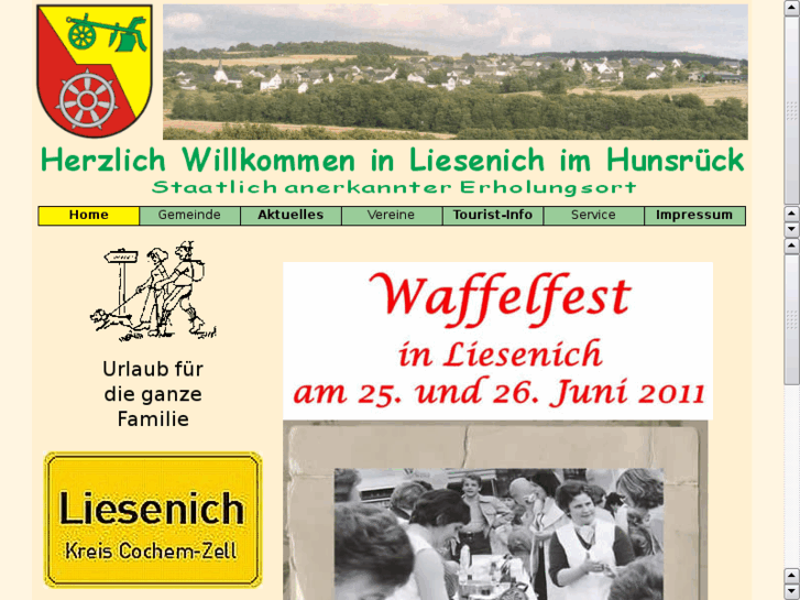 www.liesenich.de