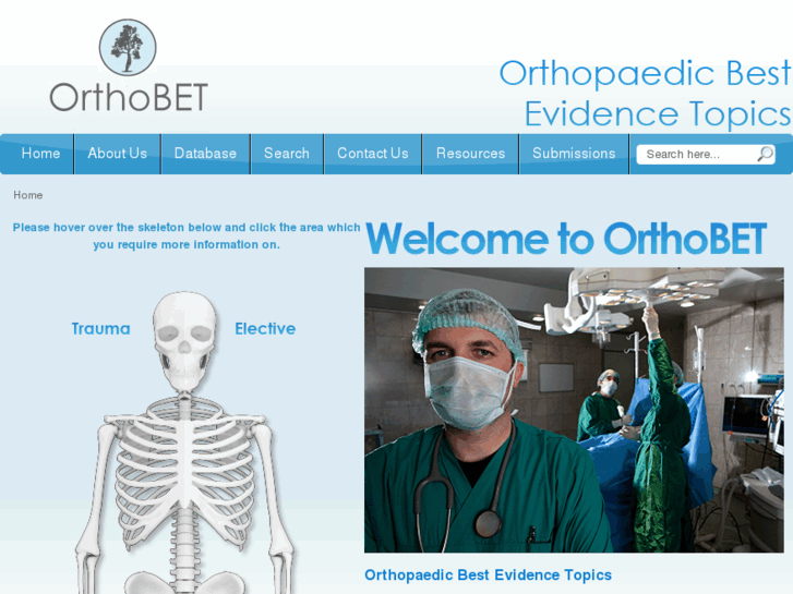 www.orthobet.com