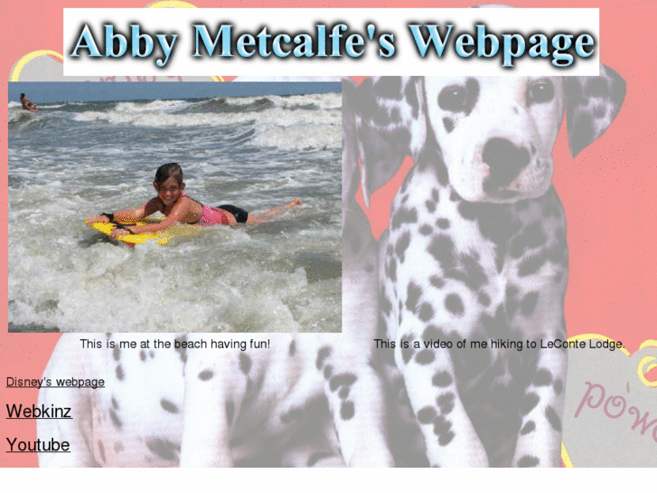 www.abbymetcalfe.com