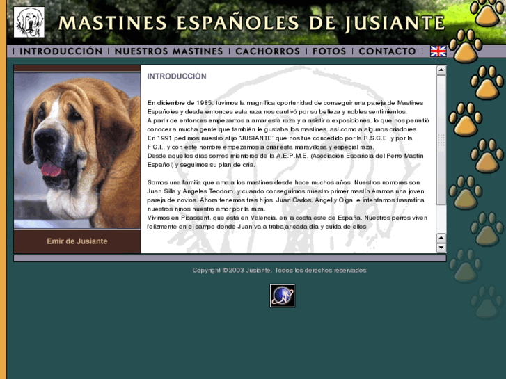 www.jusiante.com