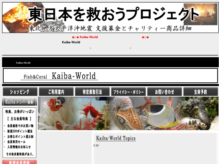 www.kaiba-world.com