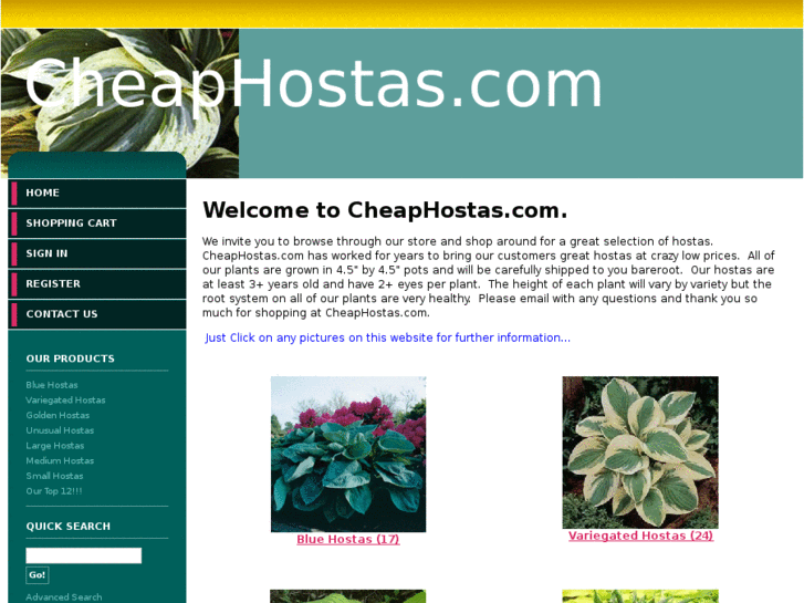 www.cheaphostas.com