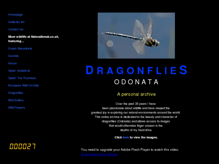 www.dragonflies-odonata.net