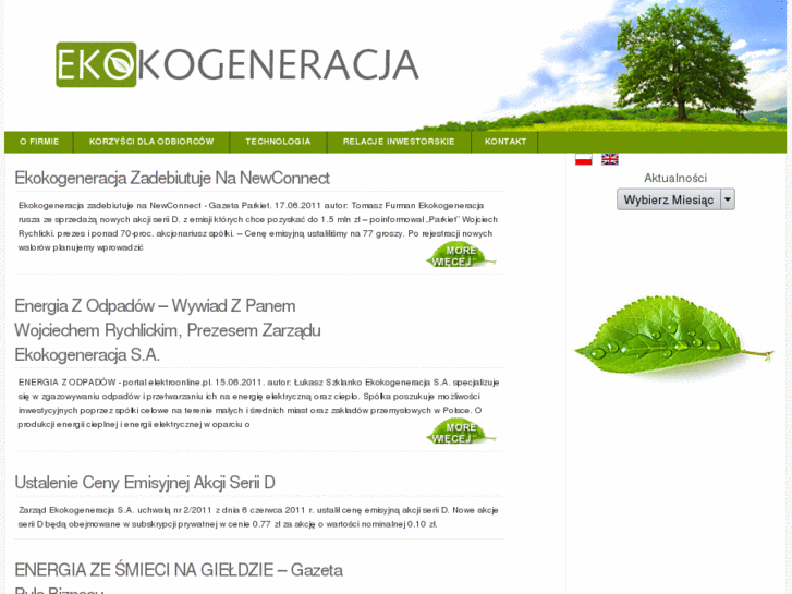 www.ecokogeneracja.com