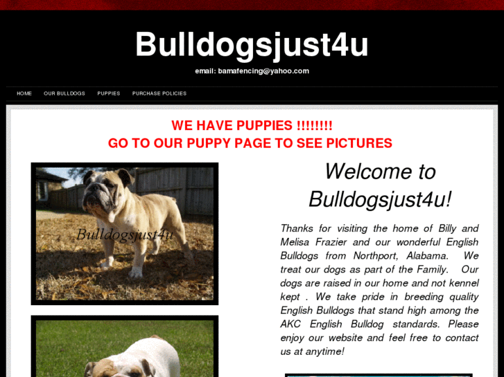 www.bulldogsjust4u.com