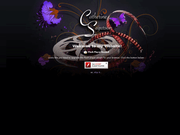 www.csegurson.com