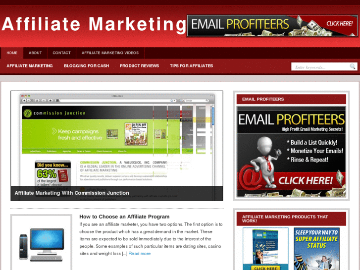 www.emailmarketingfaq.net