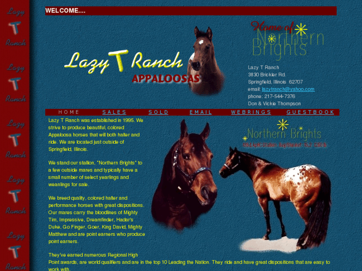 www.lazyt-ranch.com