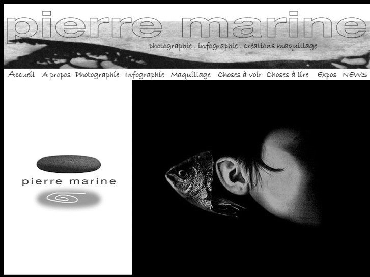 www.pierremarine.com