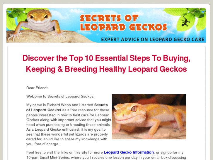 www.secretsofleopardgeckos.com