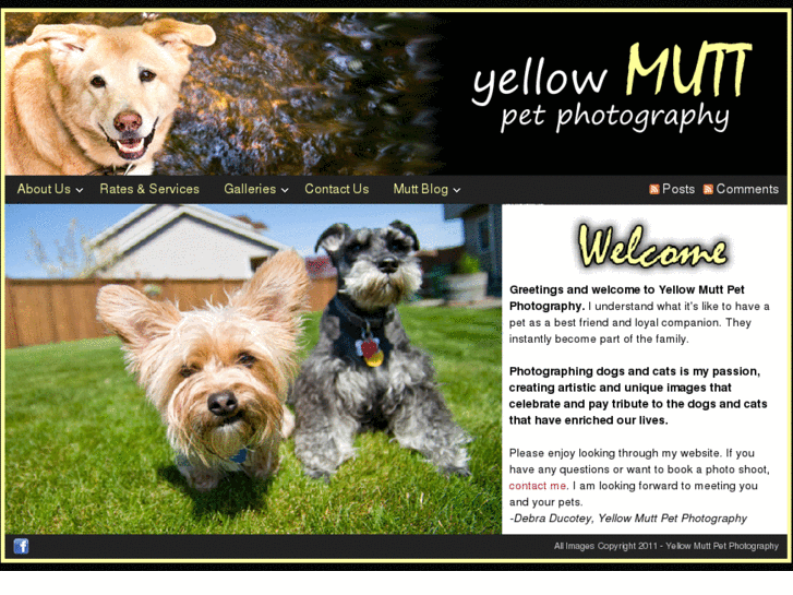 www.yellowmuttpetphotography.com