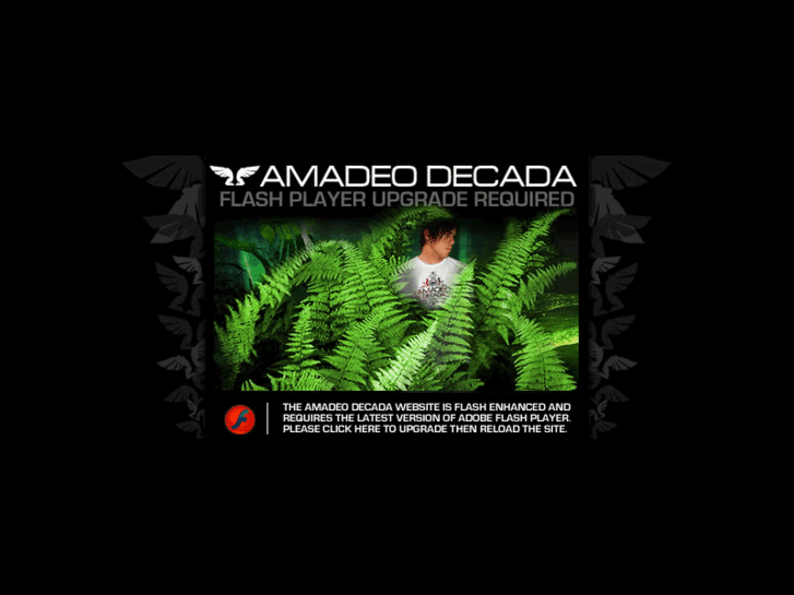 www.amadeodecada.com