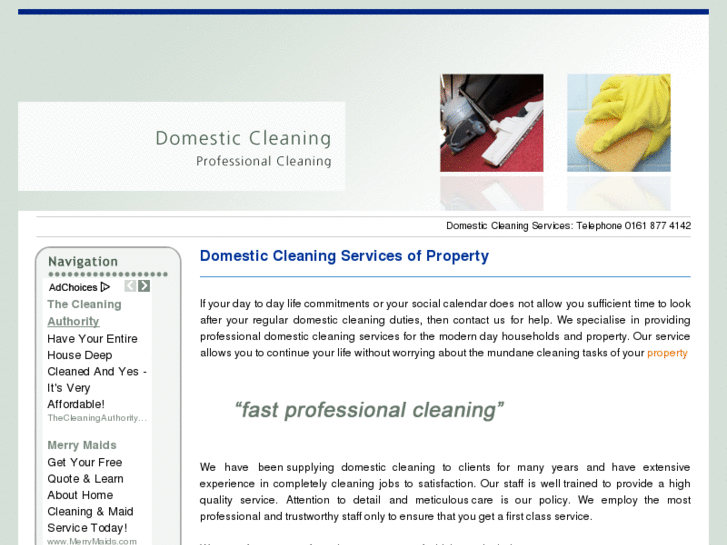 www.domestic-cleaning.info