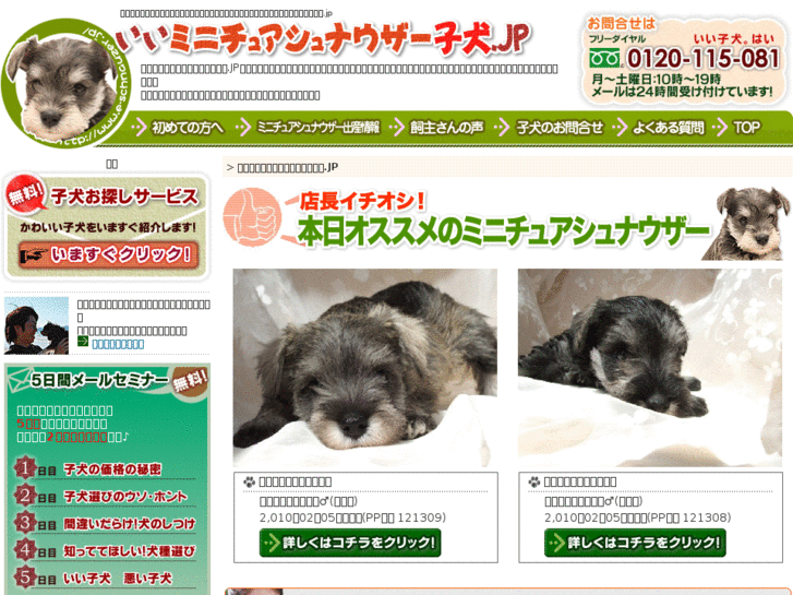 www.e-schnauzer.jp