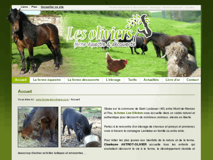 www.ferme-les-oliviers.com