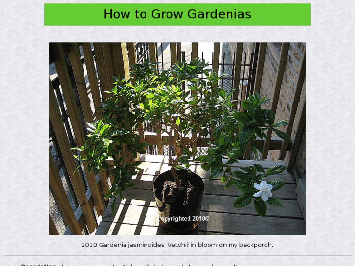 www.howtogrowgardenias.org