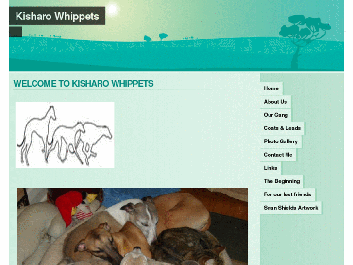 www.kisharowhippets.com