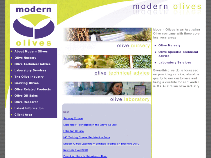www.modernolives.com