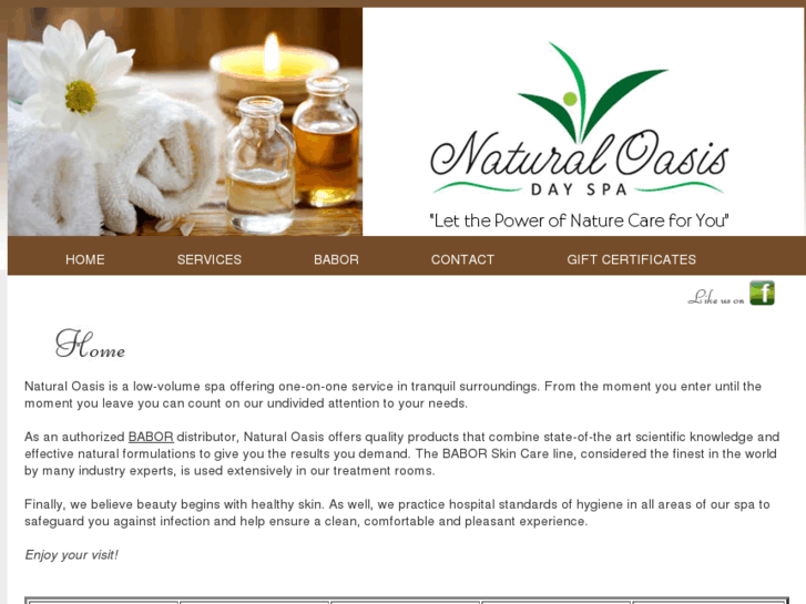 www.naturaloasisdayspa.com