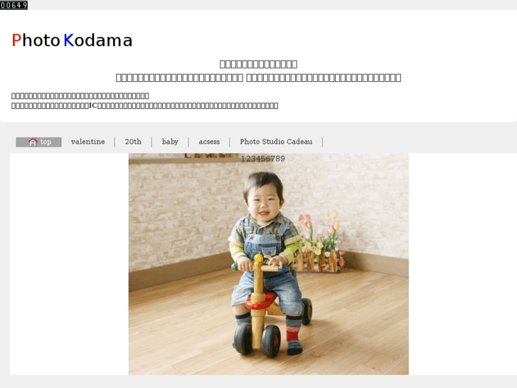 www.p-kodama.com