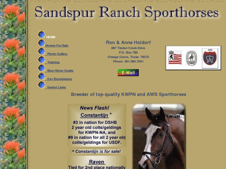 www.sandspurranch.net