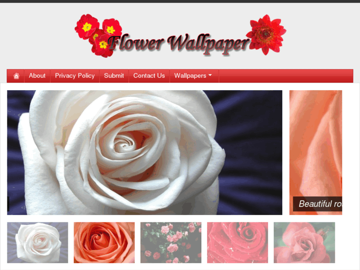 www.wallpaper-flower.com