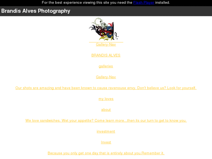 www.brandisalvesphotography.com