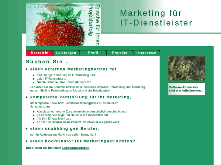 www.it-dienstleister-marketing.com