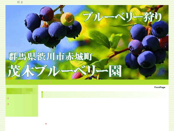 www.mogi-blueberry.com