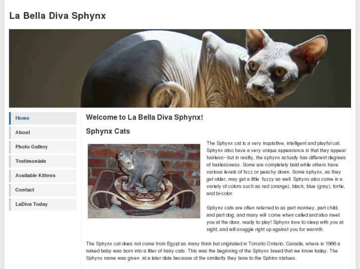 www.mysphynxkittens.com