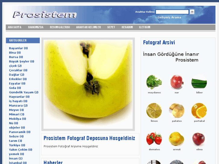 www.prosistem.com