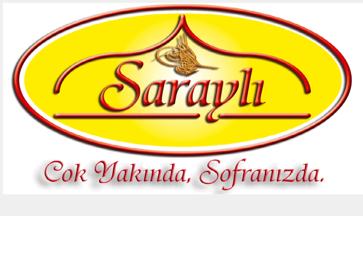 www.sarayli.info