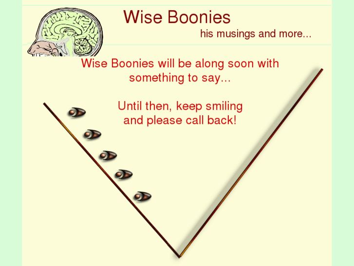 www.wise-boonies.com