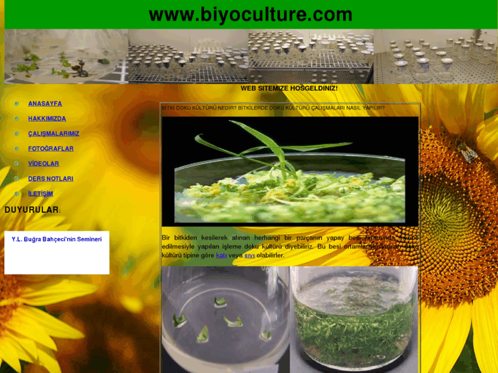 www.biyoculture.com