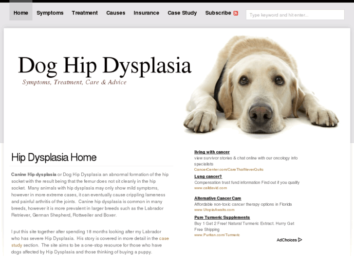 www.canine-hip-dysplasia.com