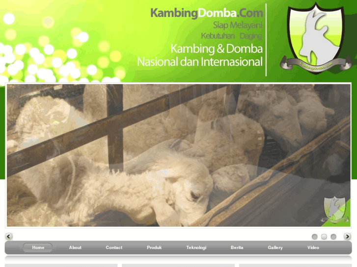 www.kambingdomba.com