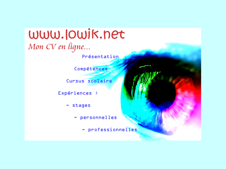 www.lowik.net