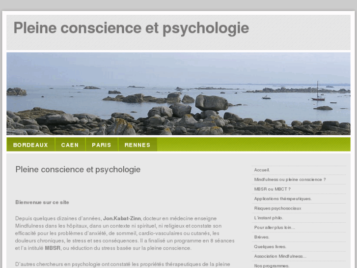 www.pleineconscienceetpsychologie.fr