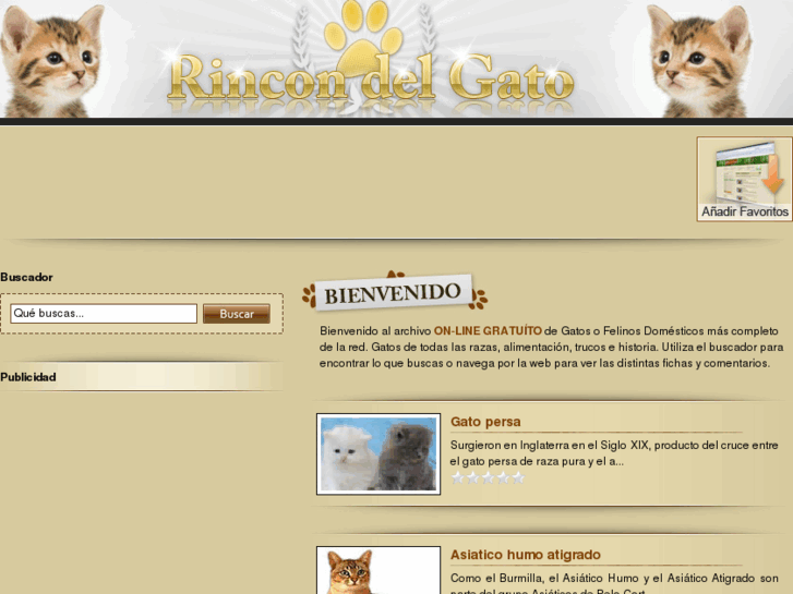 www.rincondelgato.com