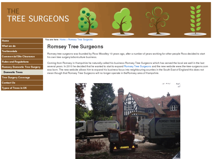 www.romseytreesurgeons.com