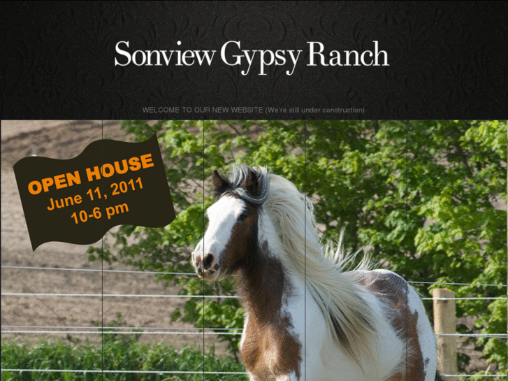 www.sonviewgypsyranch.com