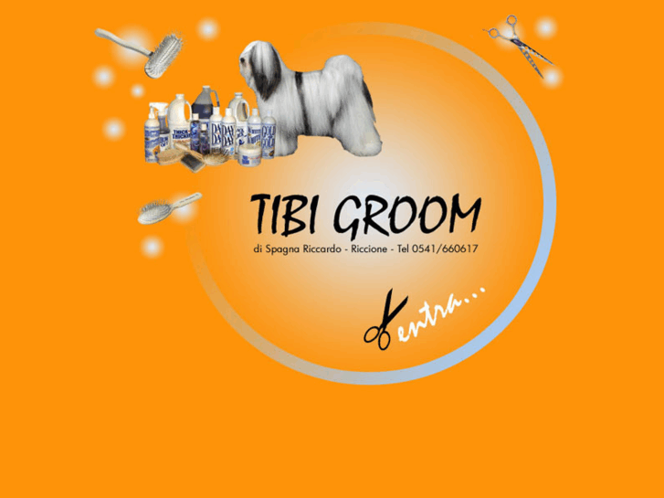 www.tibigroom.com