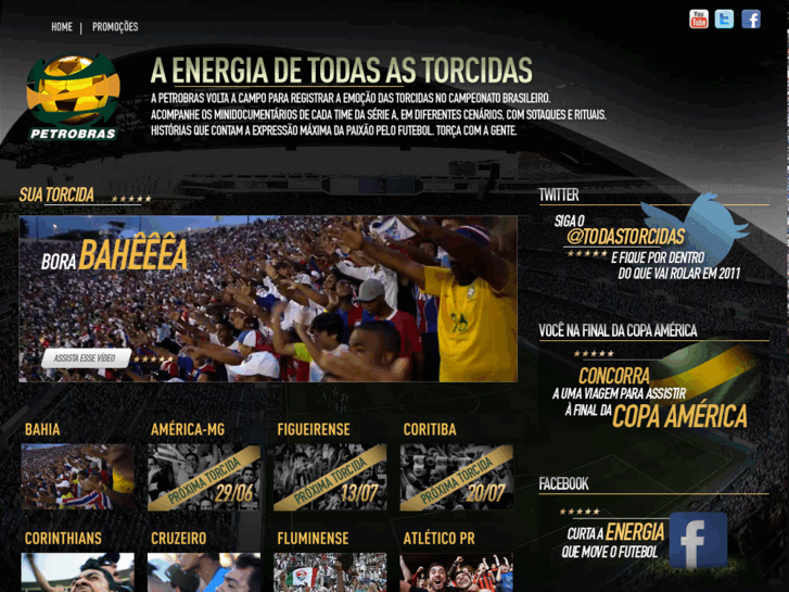 www.brasileiraopetrobras.com.br