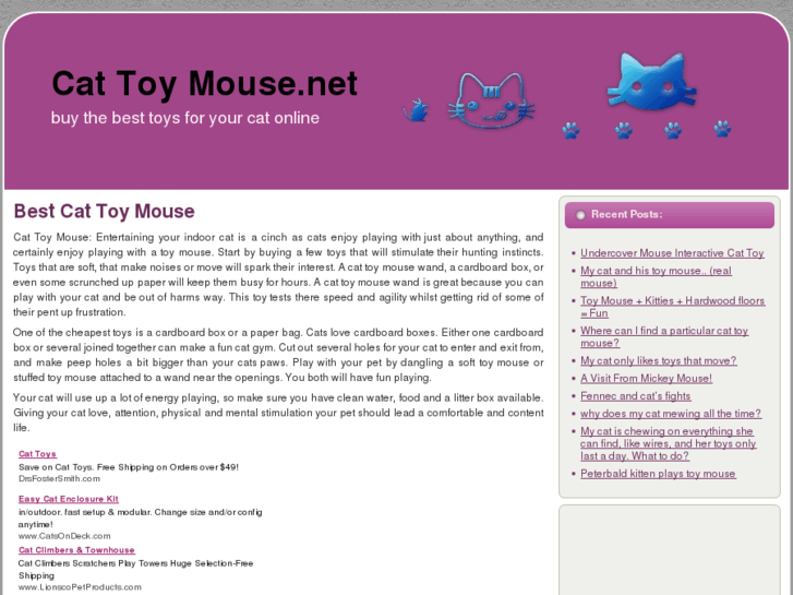 www.cattoymouse.net