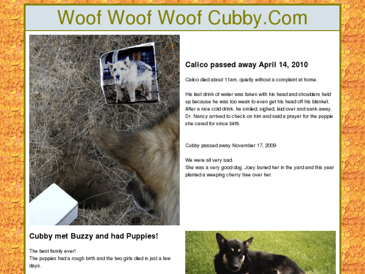 www.cubby.com